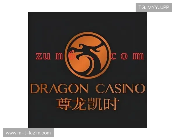 尊龙凯时z6官方客服支持全天在线，解决您的所有疑问与技术难题