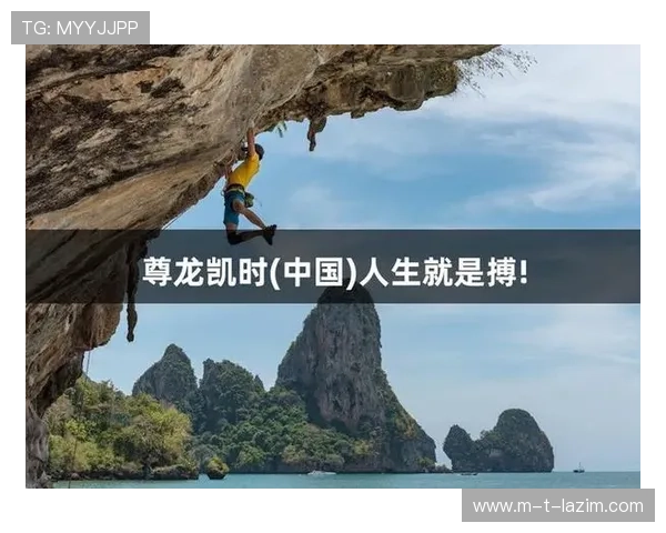 尊龙人生就是博登录入口：账号登录安全防护措施与个人隐私保护建议
